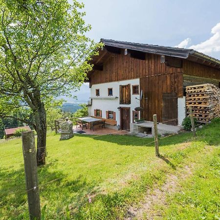 Almliesl Abte-395 Villa Abtenau Exteriör bild